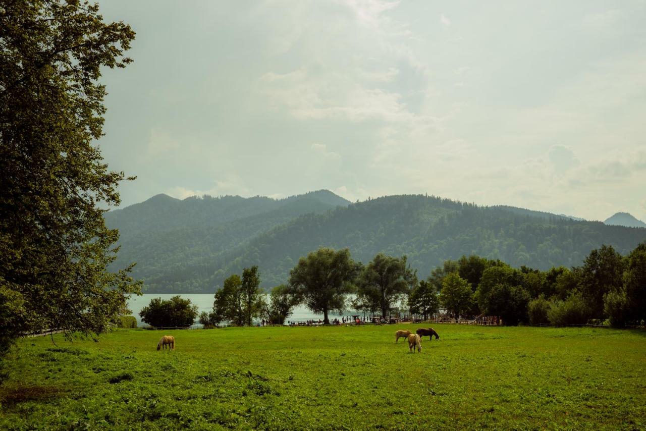 Ferienwohnung Glaserhaeusl Am Rossgarten Schliersee Extérieur photo